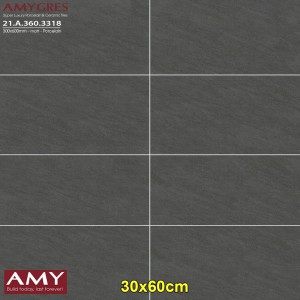 Gạch 30x60 Á Mỹ 3318