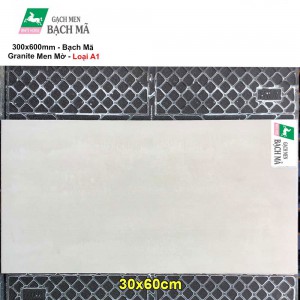 Gạch 30x60 Bạch Mã H36017R