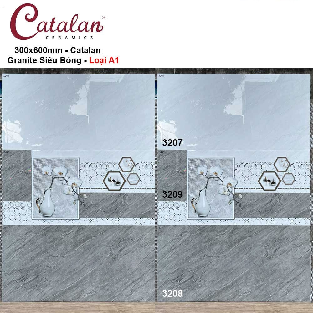 Gạch 30x60 Catalan 3207-3208