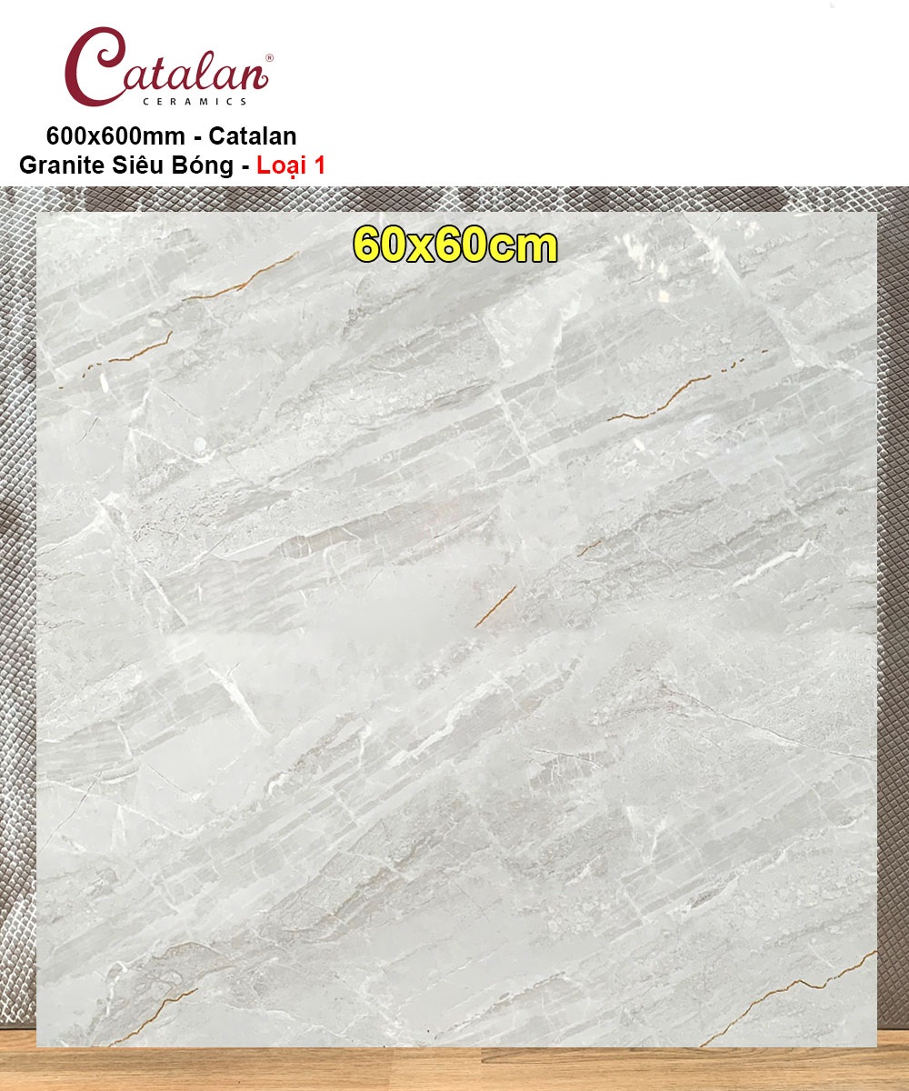 Gạch 60x60 Catalan 60082