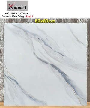 Gạch 60x60 Catalan Xsmart XS7122