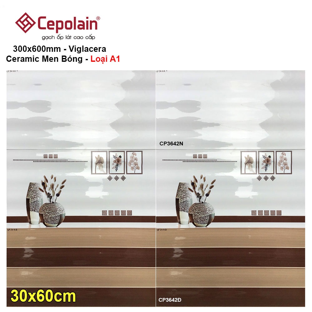 Gạch 30x60 Cepolain CP3642