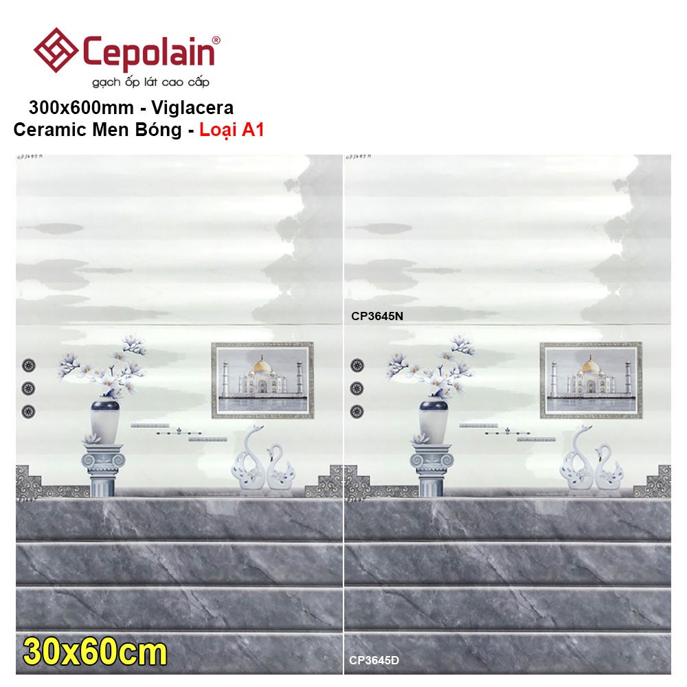 Gạch 30x60 Cepolain CP3645