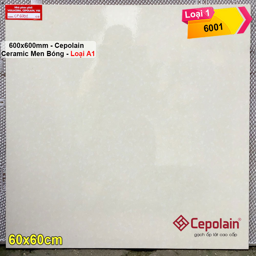 Gạch 60x60 Cepolain CP6001