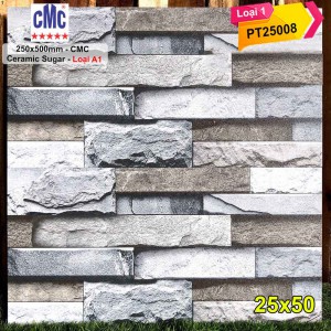 Gạch 25x50 CMC PT25008
