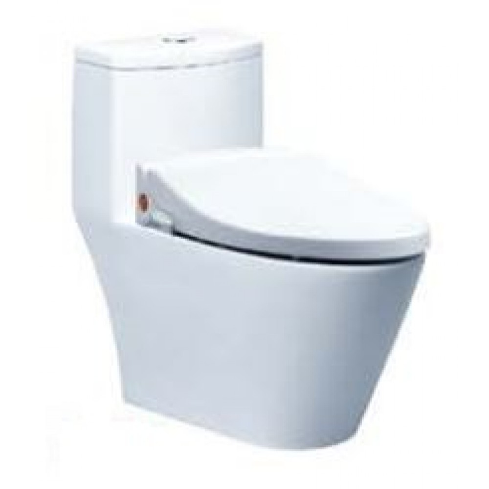 Bồn Cầu Nắp Rửa Cơ CAESAR CD1363/TAF050 1 Khối