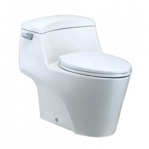 Bồn Cầu Caesar C1353 1 Khối