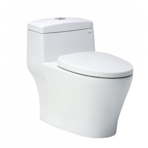 Bồn Cầu CAESAR CD1356 Một Khối Nắp Êm