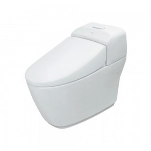 Bồn Cầu INAX AC-1032VN (AC1032VN) 1 Khối Nắp Êm Aqua Ceramic