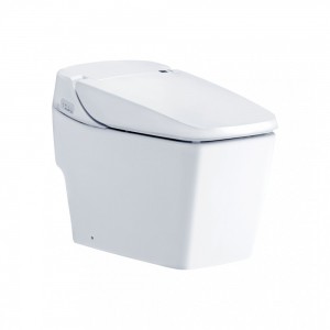 Bàn Cầu Cảm Ứng COTTO C10227 Tunio