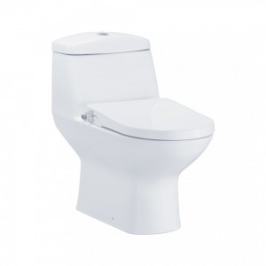 Bàn Cầu COTTO C1113(CN2) Một Khối Viggo