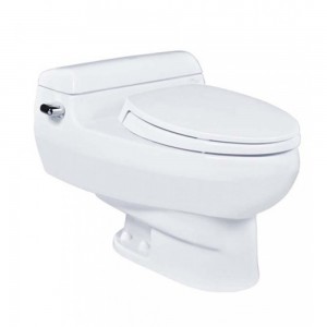 Bồn Cầu TOTO MS436T2 1 Khối Nắp TC393VS