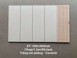 Gạch thẻ ốp tường trang trí 10x30cm 1306