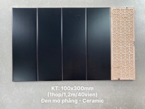 Gạch thẻ ốp tường trang trí 10x30cm 1307Y