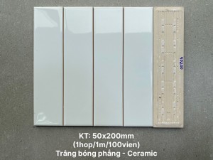 Gạch thẻ 5x20cm 50200