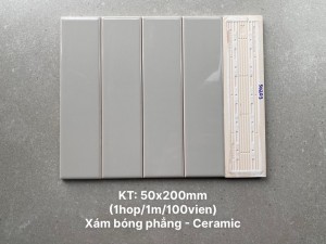 Gạch thẻ ốp tường trang trí 5x20cm 50203 | Bề mặt bóng