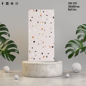 Gạch terrazzo ốp tường 30x60cm 6503