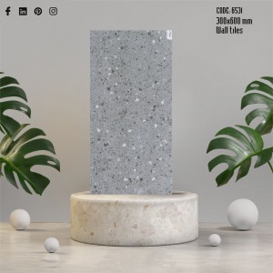 Gạch terrazzo ốp tường 30x60cm 6531