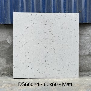 Gạch ốp lát terrazzo 60x60cm DS66024 | Bề mặt matt