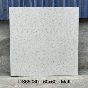 Gạch ốp lát terrazzo 60x60cm DS66030 | Bề mặt matt