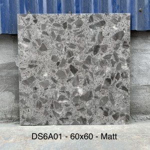 Gạch ốp lát terrazzo 60x60cm DS6A01