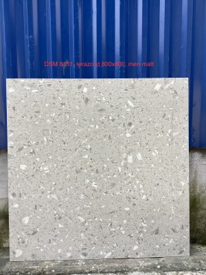 Gạch ốp lát terrazzo 80x80cm DSM8131 | Bề mặt matt