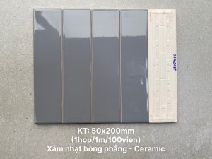 Gạch thẻ ốp tường trang trí 5x20cm SI0208P