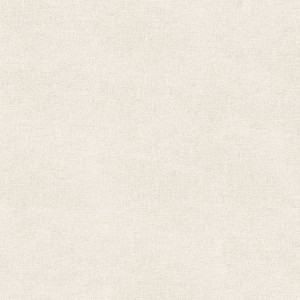Gạch ốp lát Eurotile An Cư ANC H01