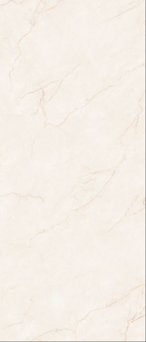 Gạch ốp lát khổ lớn Eurotile NGG V05P - Face A