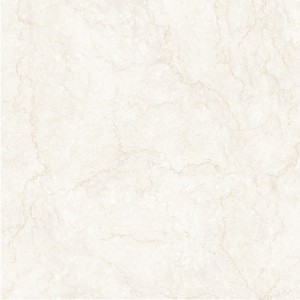 Gạch ốp lát khổ lớn Eurotile Thanh Tâm THT S04P