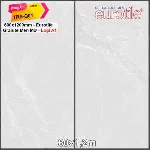 Gạch Eurotile 60x120 Tràng An TRA-Q01