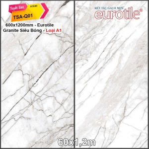 Gạch Eurotile 60x120 Tuyết San TSA-Q01