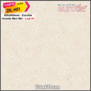 Gạch Eurotile 60x60 Đinh Lan DIL-H01