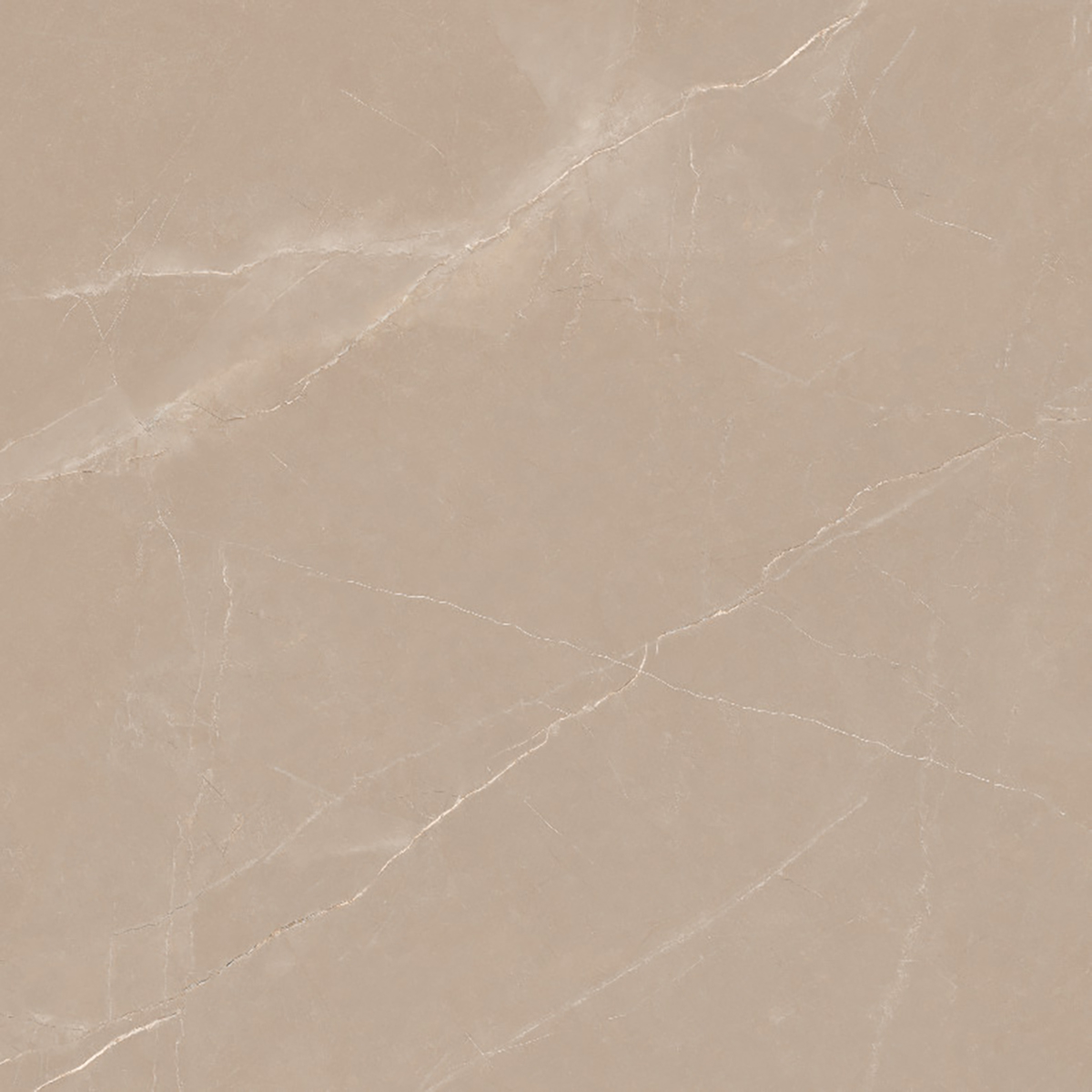 Gạch ốp lát Eurotile Tràng An TRA E03P