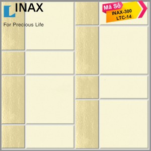 Gạch inax INAX-300/LTC-14