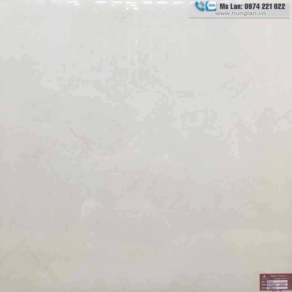Gạch lát nền 800x800 89010