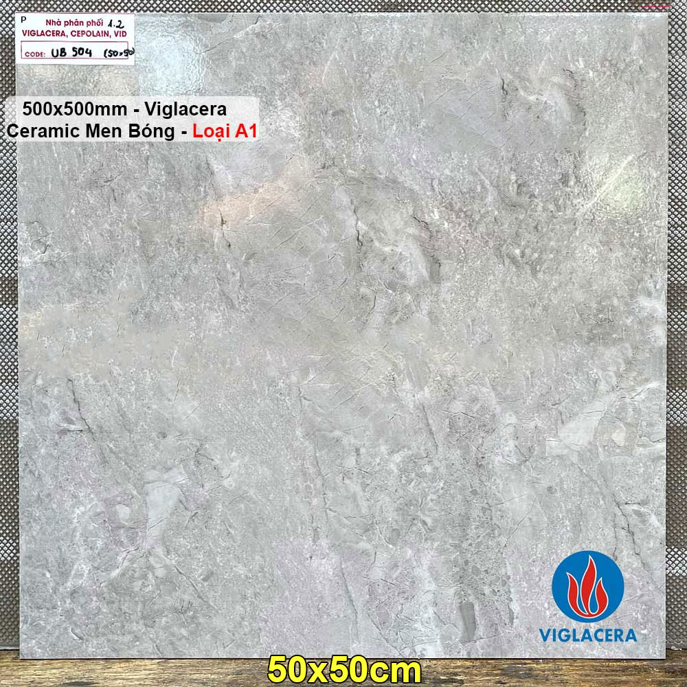 Gạch 50x50 Viglacera UB504