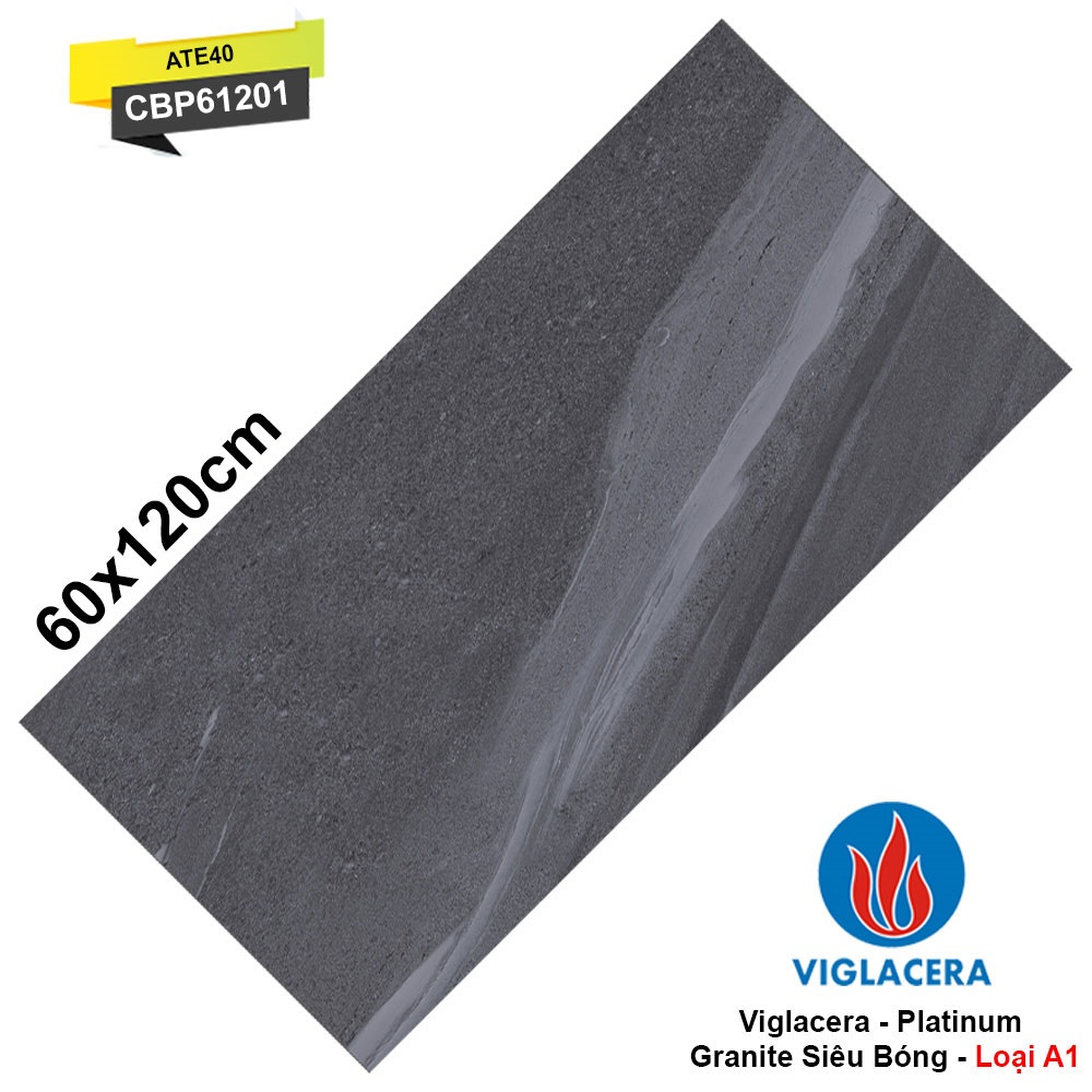 Gạch 60x120 Viglacera Platinum CBP61201