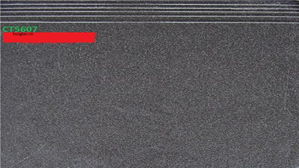 Gạch lát cầu thang 50x60 CT5607