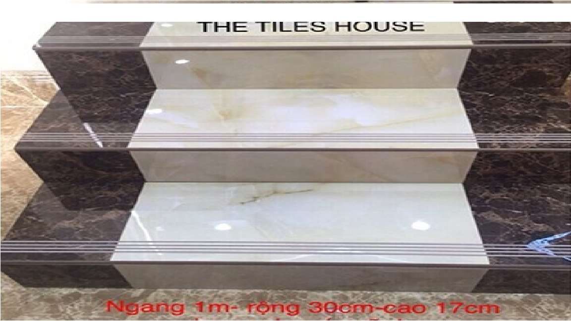 Gạch lát cầu thang 30x100 CT04