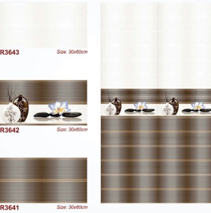 Gạch điểm ốp tường Sunrise 30x60 SR3642