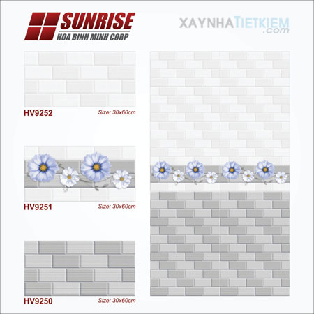 Gạch điểm ốp tường Sunrise 30x60 HV9254