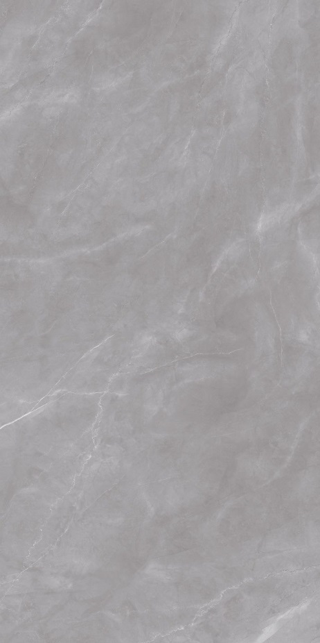 Gạch lát nền khổ lớn 120x240 Armonia Grey - hình 2