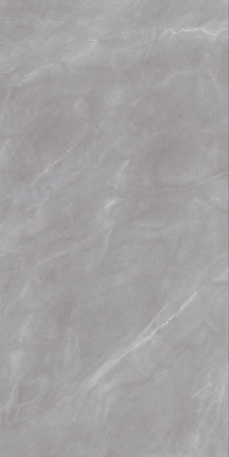 Gạch lát nền khổ lớn 120x240 Armonia Grey - hình 3