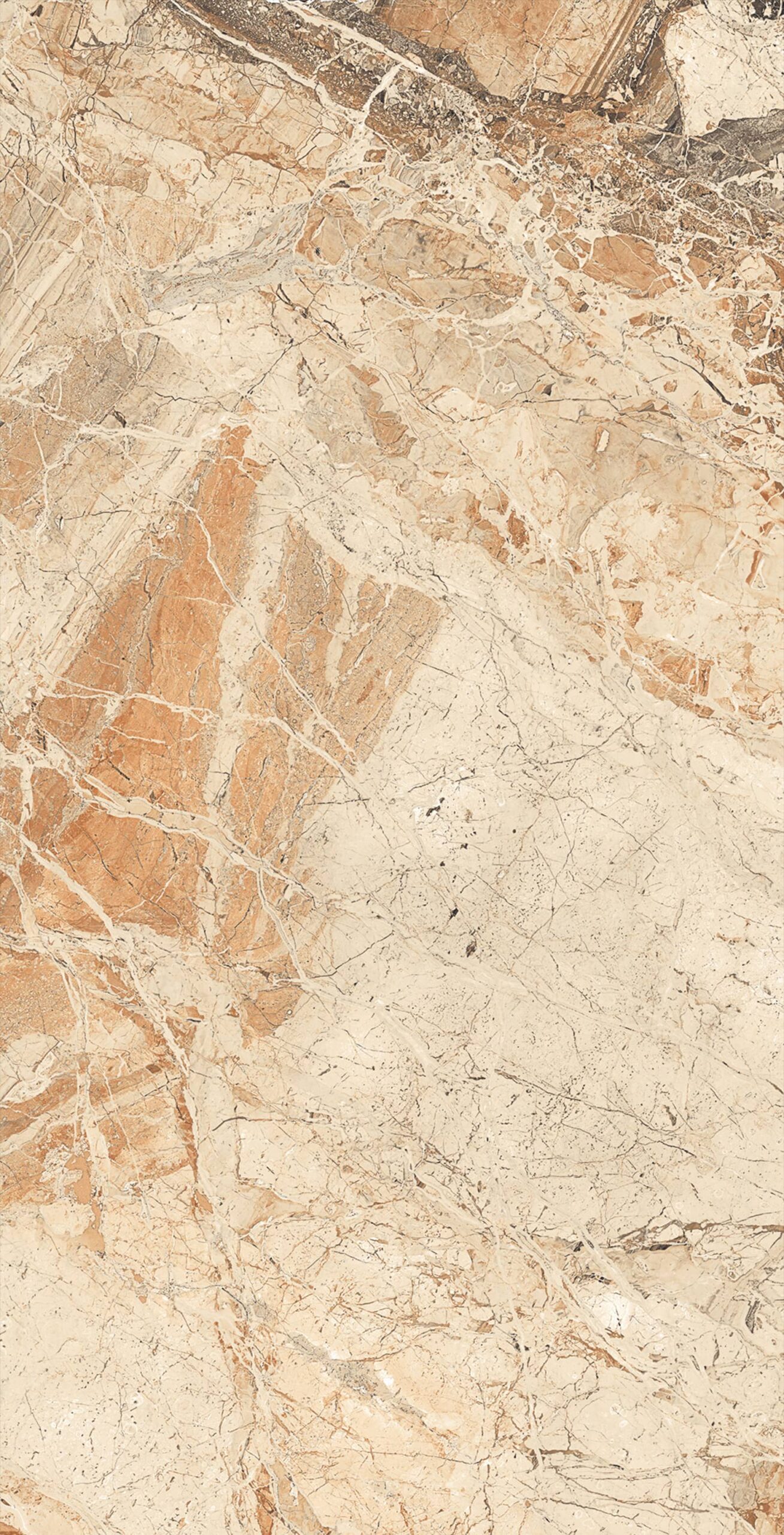 Gạch ốp lát khổ lớn 80x160 Breccia Gold-3