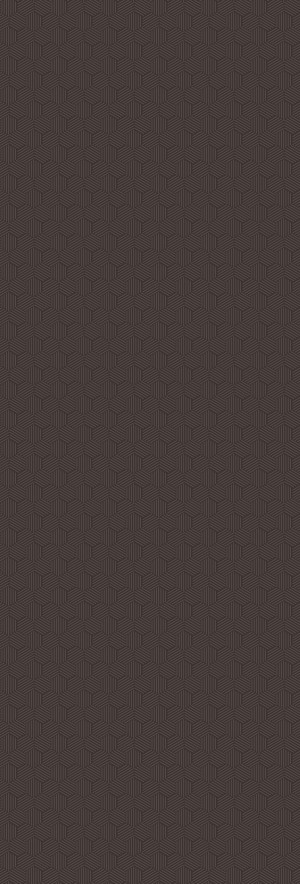 Gạch Lát Nền Khổ Lớn CRAFT HEXA BROWN 800x2400mm