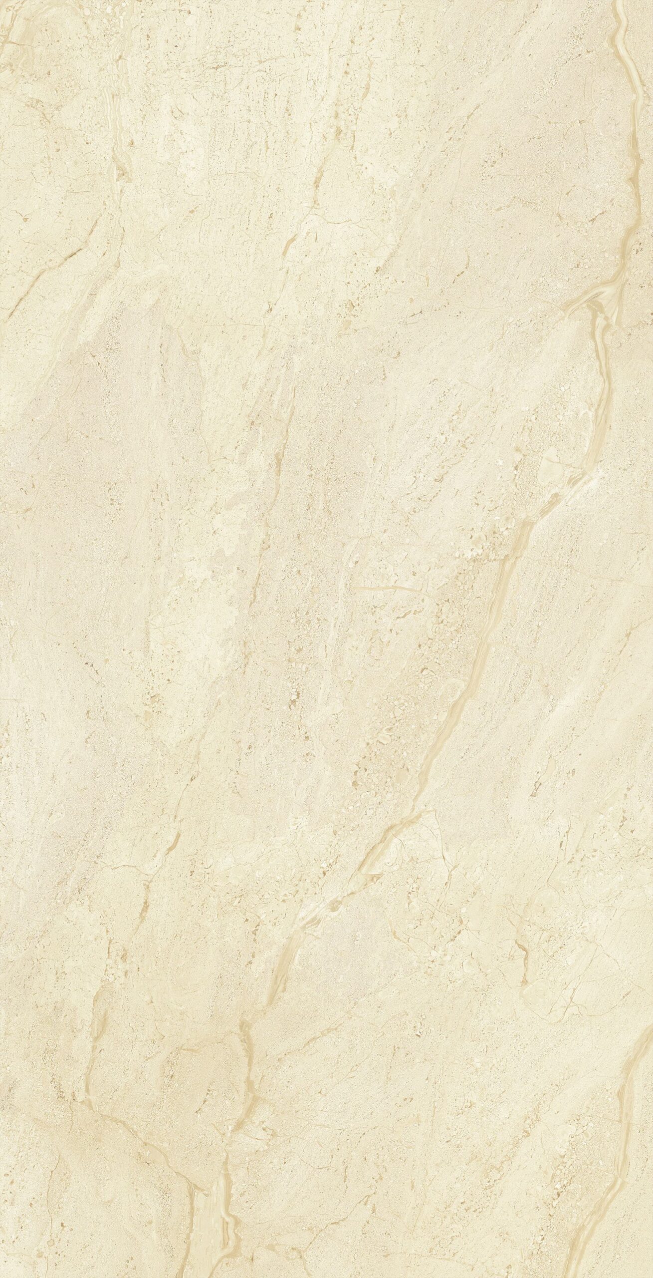 Gạch ốp lát khổ lớn 80x160 Dyna Fantastic-2