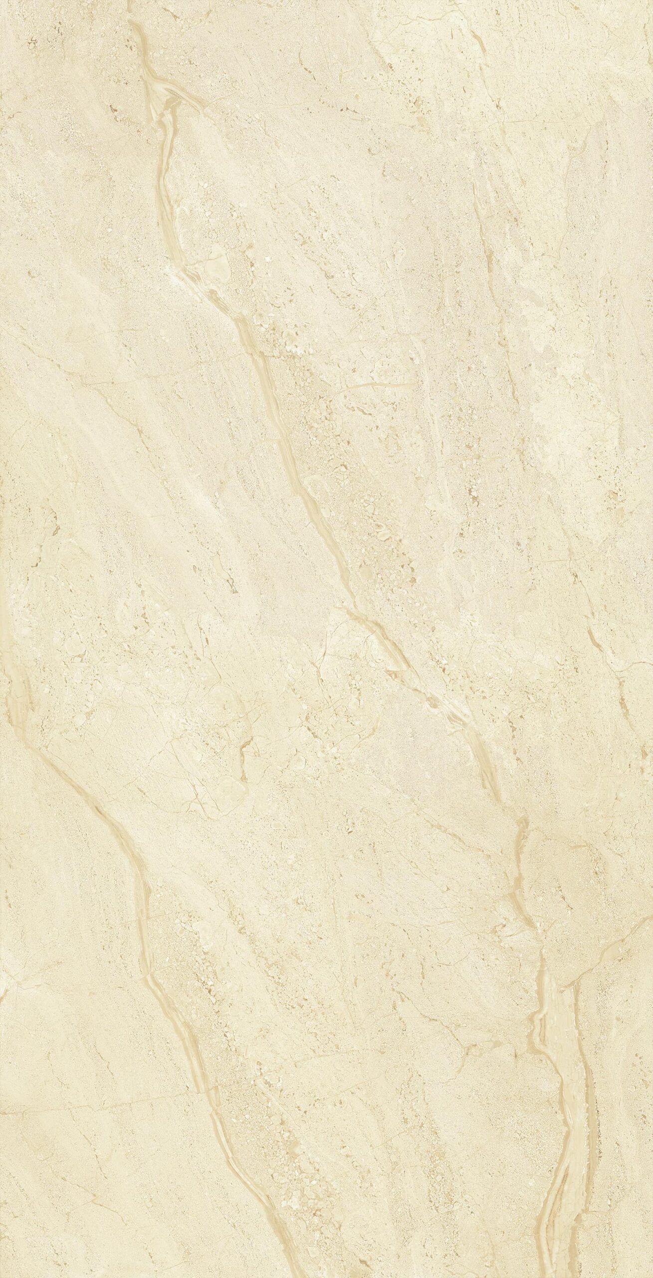 Gạch ốp lát khổ lớn 80x160 Dyna Fantastic-3