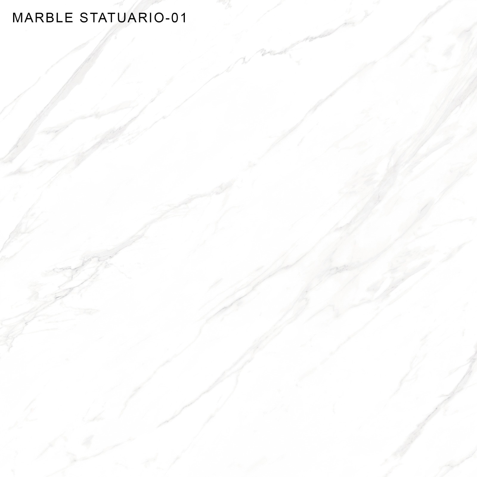 Gạch lát nền khổ lớn 120x120 Marble Statuario