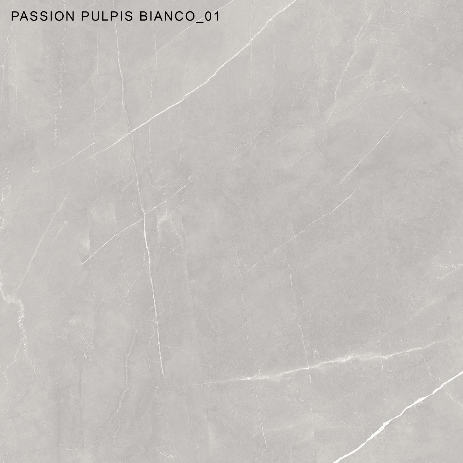 Gạch ốp lát khổ lớn 120x120 Passion Pulpis Bianco